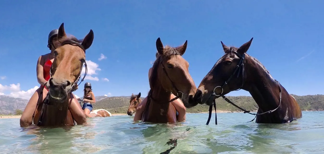 Balade à cheval 5