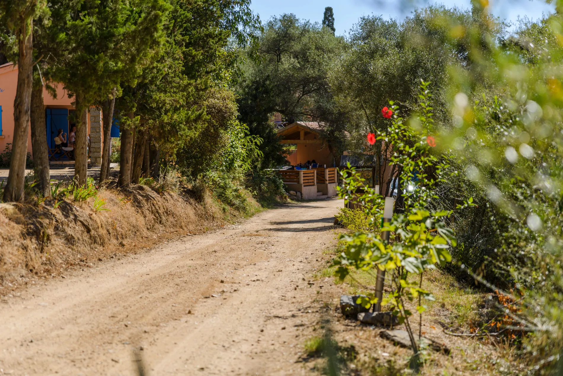 Chemin d'entrée de la résidence